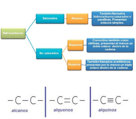 Hidrocarburos (alcanos, alquenos, alquinos y aromáticos)